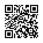 T5071080B4AQ QRCode