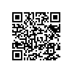 T540D337M2R5AH86057280 QRCode