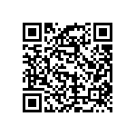 T86E337M004EASS QRCode