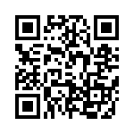 T93YA101KT20 QRCode