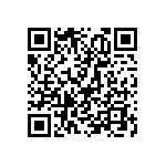 T95D336M025CSSS QRCode