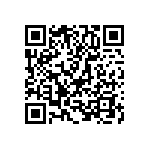T95R106M050LSSS QRCode