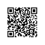 T95R127K020CZSS QRCode