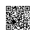 T95R127K020HSSS QRCode