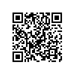 T95R127K020LSSL QRCode