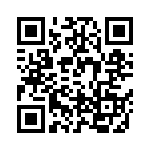 TGL41-33-E3-96 QRCode