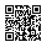 TH1001600000G QRCode