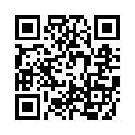 TH1321510000G QRCode