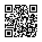 TS04010C0000G QRCode