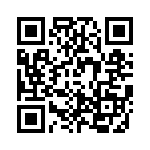 TS13310A0000G QRCode