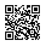 TT13E3T QRCode