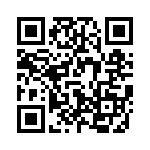 V110C28H100B2 QRCode