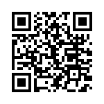 V28C12T100B3 QRCode