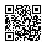 V300B3V3T100B QRCode