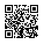 V48B36T250BL QRCode