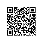 V95234B1-20-29S QRCode