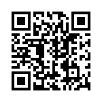 VDZT2R13B QRCode