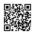 VE-2T2-IV-B1 QRCode