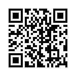 VE-2T4-IV-B1 QRCode