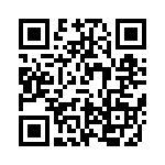 VE-B3L-IV-F4 QRCode