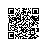 VG95234A2222PN1 QRCode