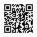 VG95234A365PX QRCode