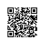 VG95234B1-16-10PN QRCode