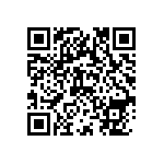 VG95234B2-22-2P1N QRCode