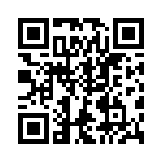 VG95234B2208PX QRCode