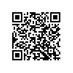 VG95234B2222P1X QRCode