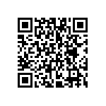 VG95234E1-22-22PN QRCode