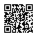 VG95234E1181PN QRCode