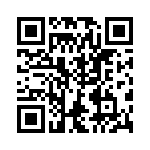 VG95234G181PN1 QRCode