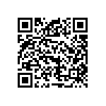 VG95234G20A48SY QRCode