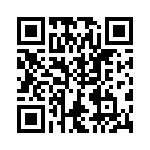 VG95234N1181PX QRCode