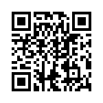 VG95234P500 QRCode