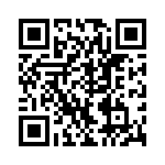 VI-B1N-IV QRCode