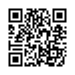 VI-B1V-IX QRCode