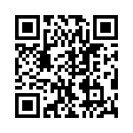 VI-B2L-IY-B1 QRCode