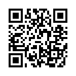 VI-B31-IV-B1 QRCode