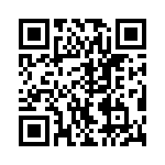 VI-B3L-IX-B1 QRCode