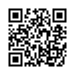 VI-B3T-IV-F4 QRCode