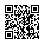 VI-B51-IV-B1 QRCode