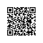 VJ0402D110MLXAJ QRCode