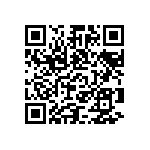 VJ0402D110MXAAJ QRCode