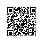 VJ0603D300KLPAP QRCode