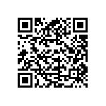 VJ1210Y333KBBAT4X QRCode