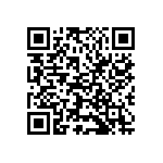 VJ1210Y391KBRAT4X QRCode