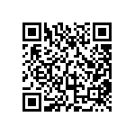 VS3-A2-E13-E33-E36-00-CE QRCode