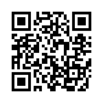 W33-S4B1Q-10 QRCode